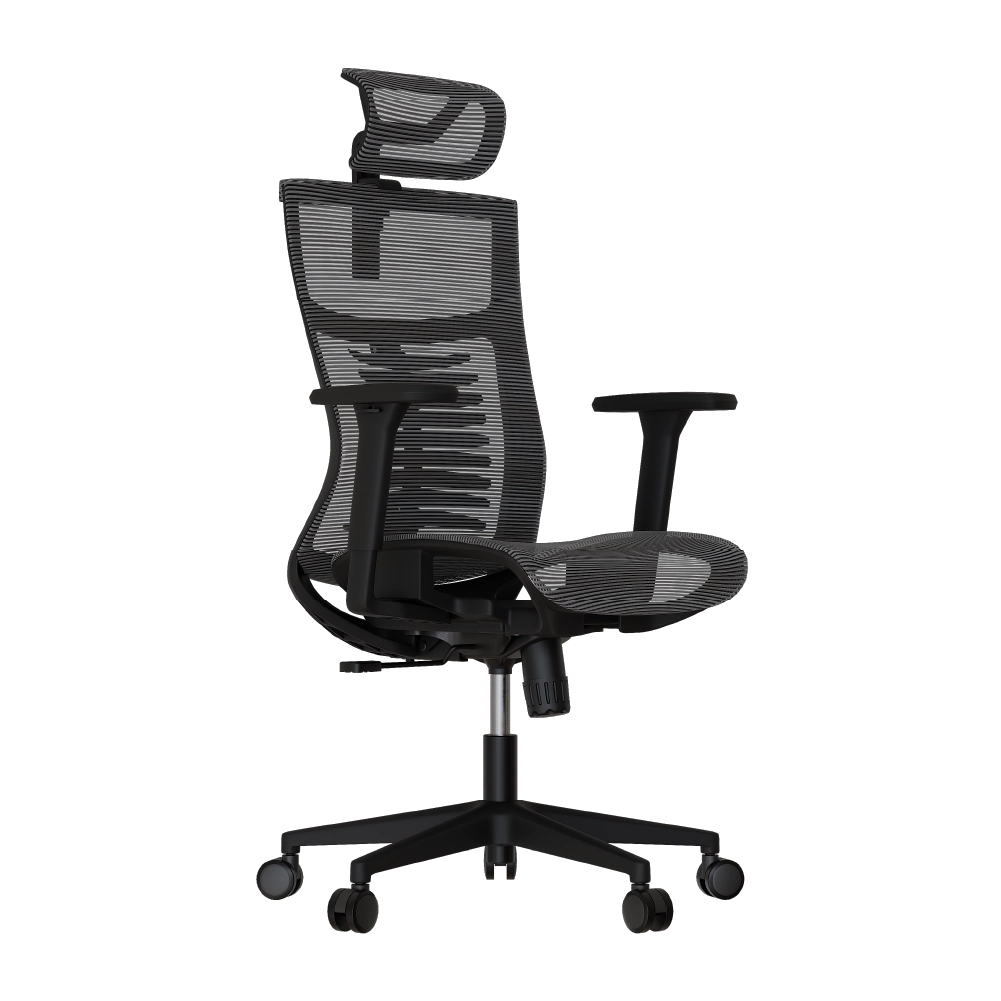 Cadeira Ergonômica Elements Vertta Pro
